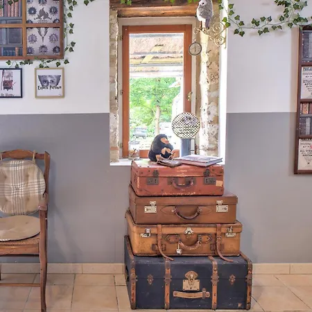 Le Magicogite - Harry Potter Larocal