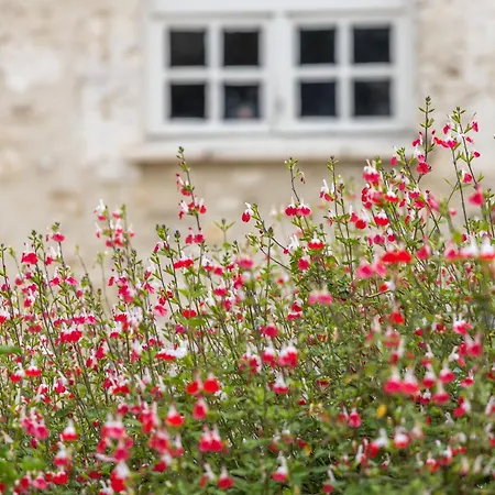 Le Magicogite - Harry Potter