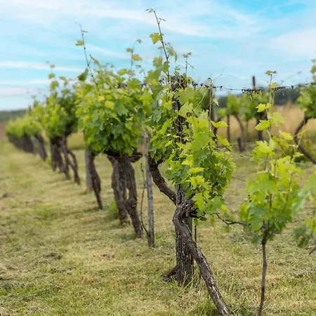 Holiday home Le Magicogite - Harry Potter *