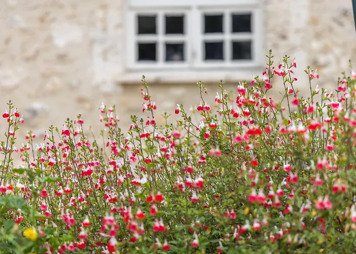 Le Magicogite - Harry Potter