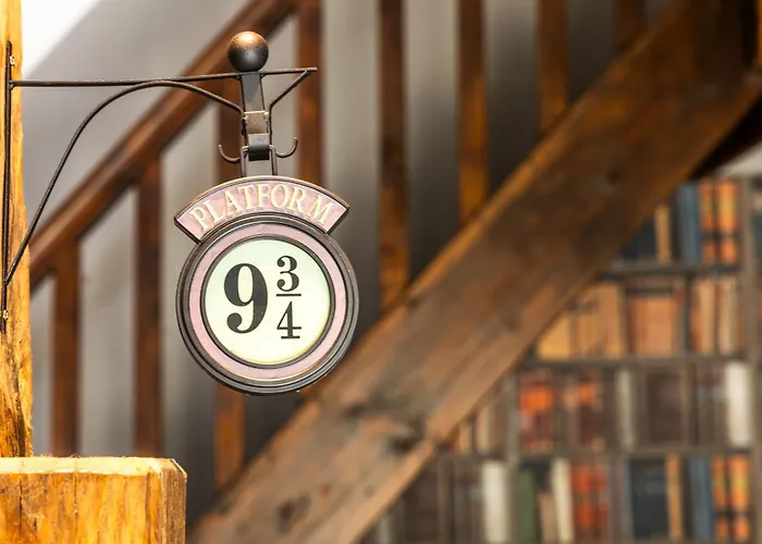 Le Magicogite - Harry Potter Larocal