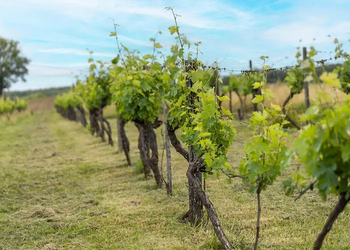 Hébergement de vacances Le Magicogite - Harry Potter *