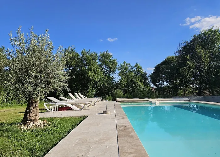 Le Magicogite - Harry Potter Larocal