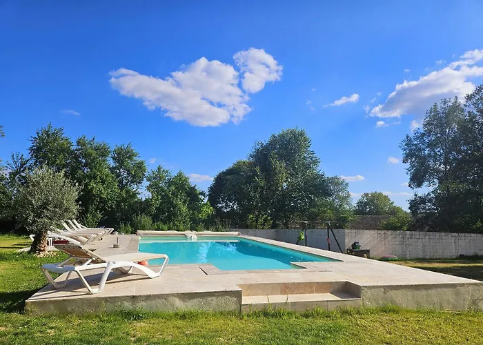 Le Magicogite - Harry Potter Larocal